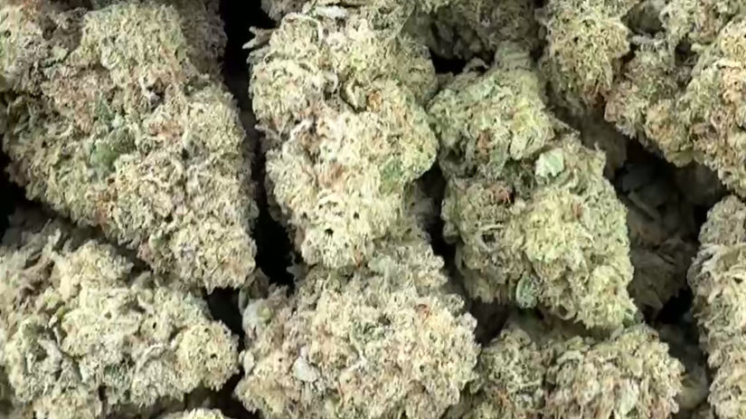 Cotton Candy AAA+ Indoor Exotic Indica  30.99% THCa